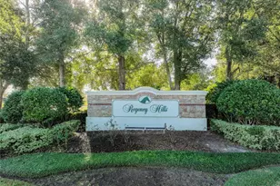 2916 Majestic Isle Dr, Clermont, FL 34711 - Photo 46