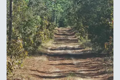 Xxxx SW 92nd Place SW, Dunnellon, FL 34432 - Photo 1