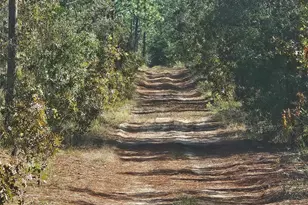 Xxxx SW 92nd Pl SW, Dunnellon, FL 34432 - Photo 1