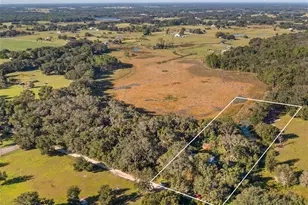 23158 E Loop Rd, Groveland, FL 34736 - Photo 22