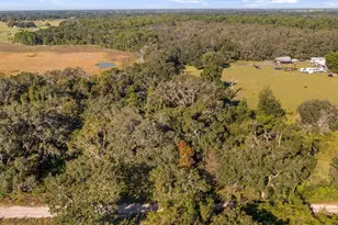 23158 E Loop Rd, Groveland, FL 34736 - Photo 16