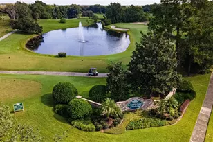 6001 Spring Creek Ct, Mount Dora, FL 32757 - Photo 54