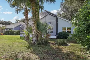 6001 Spring Creek Ct, Mount Dora, FL 32757 - Photo 38