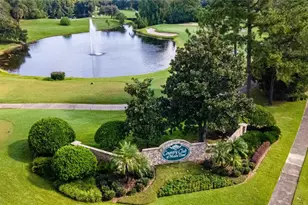 6001 Spring Creek Ct, Mount Dora, FL 32757 - Photo 50