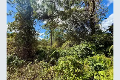 Lot 11 Royal Trails Road, Eustis, FL 32736 - Photo 10