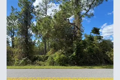 Lot 11 Royal Trails Road, Eustis, FL 32736 - Photo 8