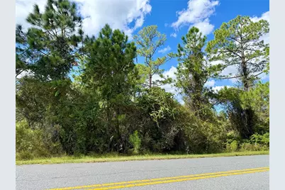 Lot 11 Royal Trails Road, Eustis, FL 32736 - Photo 1