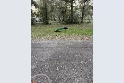 1074 Front Street #51, Welaka, FL 32193 - Photo 16