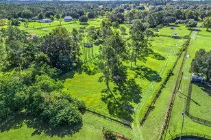 15636 N Hwy 329, Reddick, FL 32686 - Photo 48