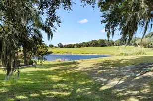 664 Ternberry Forest Dr, The Villages, FL 32162 - Photo 54