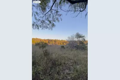 272 Riviera Drive, Interlachen, FL 32148 - Photo 2