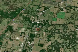 78 Cr 540, Bushnell, FL 33513 - Photo 6