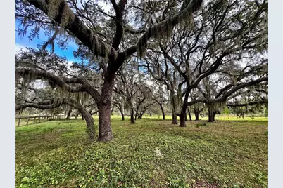 0 Rolling Acres Road, Fruitland Park, FL 34731 - Photo 18