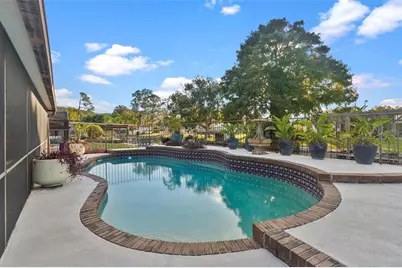 32119 Pike Street, Tavares, FL 32778 - Photo 40