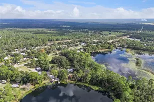 42211 Maggie Jones Rd, Paisley, FL 32767 - Photo 22