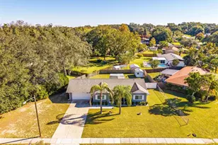 34220 Black Bass Cir, Fruitland Park, FL 34731 - Photo 42