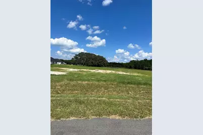 20276 Shoreline Ranch Lane, Umatilla, FL 32784 - Photo 4