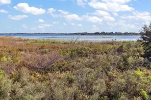 10173 Lake Miona Way, Oxford, FL 34484 - Photo 46