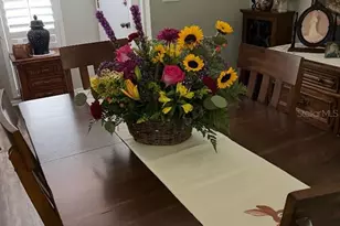 1609 Whitebridge Dr, Palm Harbor, FL 34684 - Photo 12