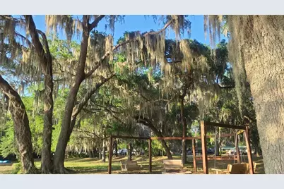 25205 NE 142 Nd Street, Salt Springs, FL 32134 - Photo 20