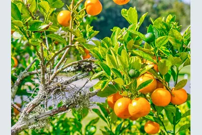 2533 E Chivalry Court, Hernando, FL 34442 - Photo 70