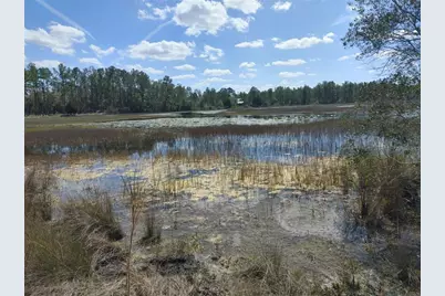 7143 Alloy Street, Ridge Manor Estates, FL 33597 - Photo 4