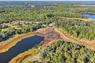 11400 SE 185th Terrace, Ocklawaha, FL 32179 - Photo 56