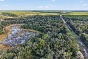 11400 SE 185th Terrace, Ocklawaha, FL 32179 - Photo 48