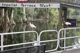 11600 Magnolia Ave, Tavares, FL 32778 - Photo 26