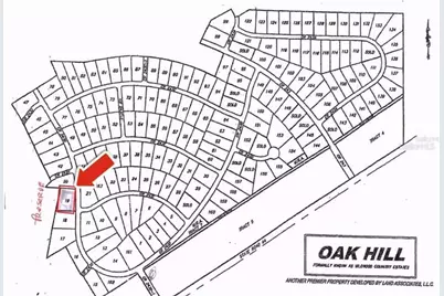 Tbd Cr 243B, Wildwood, FL 34785 - Photo 2