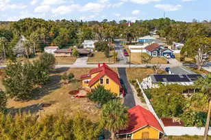 7206 Earlwood Ave, Mount Dora, FL 32757 - Photo 22