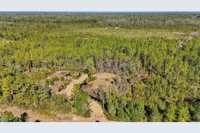 Ne 212th Street, Fort Mc Coy, FL 32134 - Photo 2