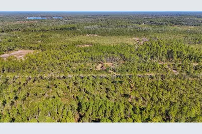 Ne 212th Street, Fort Mc Coy, FL 32134 - Photo 8