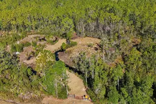 NE 212th Street Rd, Fort Mc Coy, FL 32134 - Photo 1