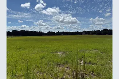 Sw 60th Ave, Bushnell, FL 33513 - Photo 4