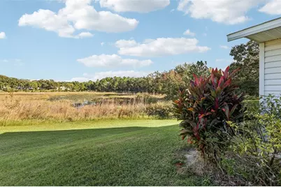 26209 Newcombe Circle, Leesburg, FL 34748 - Photo 24