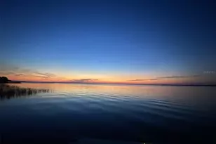 801 Lakeshore Dr, Eustis, FL 32726 - Photo 8