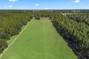 1231 NW 120th St, Chiefland, FL 32626 - Photo 12