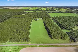 1231 NW 120th St, Chiefland, FL 32626 - Photo 76