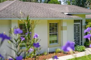 211 Hanging Moss Ln, Lady Lake, FL 32159 - Photo 6