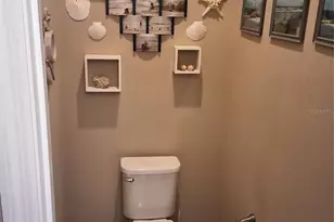 602 Conservation Blvd, Groveland, FL 34736 - Photo 4