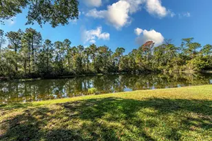 5061 Greenbriar Trail, Mount Dora, FL 32757 - Photo 52