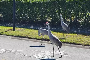 3529 Mt Hope Loop, Leesburg, FL 34748 - Photo 84