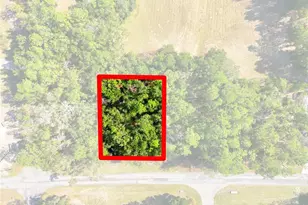 10441 N Biscayne Dr, Citrus Springs, FL 34434 - Photo 1