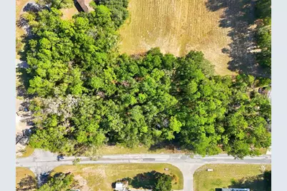 10441 N Biscayne Drive, Citrus Springs, FL 34434 - Photo 2