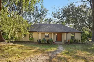 13400 Co Rd 450, Umatilla, FL 32784 - Photo 2