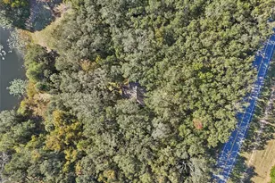13400 Co Rd 450, Umatilla, FL 32784 - Photo 54