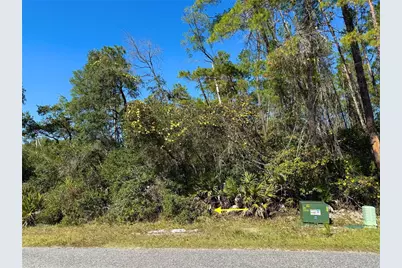 Lot 11 Tulip Avenue, Eustis, FL 32736 - Photo 6