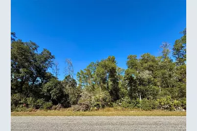 Lot 11 Tulip Avenue, Eustis, FL 32736 - Photo 4