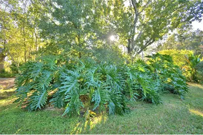 329 El Dorado, Winter Haven, FL 33884 - Photo 60